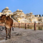 From Delhi: Full Day Jaipur City Guided Tour with Lunch - Exploring Jaipur’s Majestic Monuments