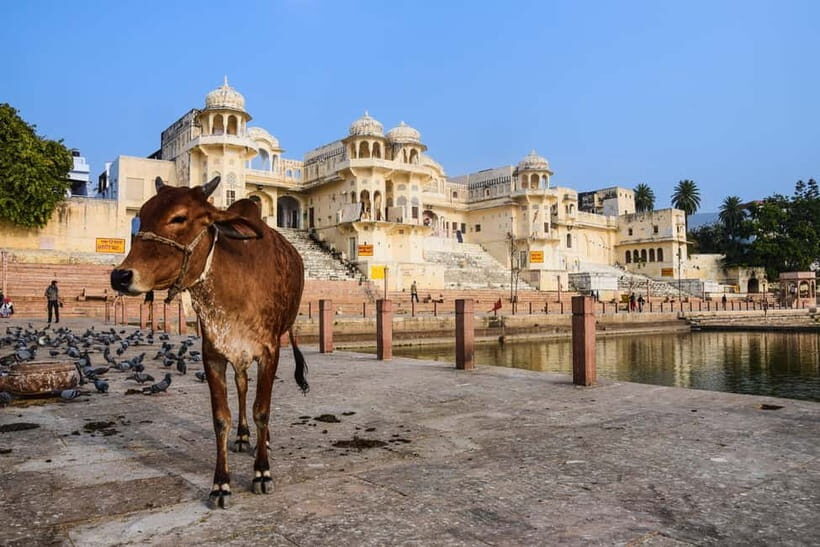 From Delhi: Full Day Jaipur City Guided Tour with Lunch - Exploring Jaipur’s Majestic Monuments