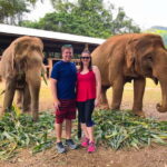 From Delhi: Jaipur Tour with Guide, Transport & Elephants - The Itinerary Breakdown