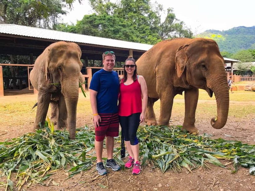 From Delhi: Jaipur Tour with Guide, Transport & Elephants - The Itinerary Breakdown