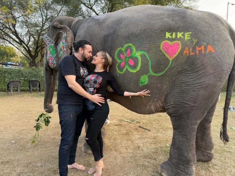 From Delhi: Private 5 Days Golden Triangle Guided Tour - What Makes This Tour Stand Out?