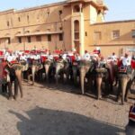 From Delhi: Same day Tour of Jaipur by Private AC Car - What Makes This Tour Stand Out?