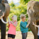 From Delhi: Sunrise Taj Mahal Tour With Elephant SOS - What’s Included & What’s Not