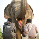 From Delhi: Taj Mahal and Agra Tour by Super-fast Train - Deep Dive into the Experience