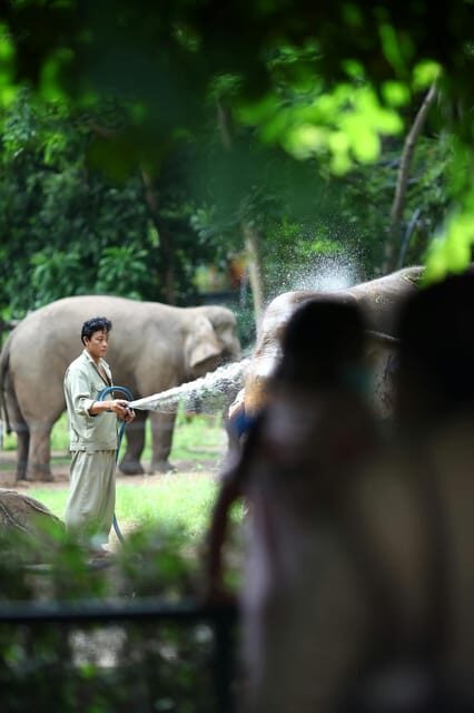 From Delhi: Taj Mahal Sunrise, Agra Fort & Elephant Tour - Who Is This Tour Best For?