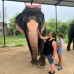 From Delhi: Taj Mahal Sunrise & Elephant Conservation by Car - Practical Tips for Your Tour