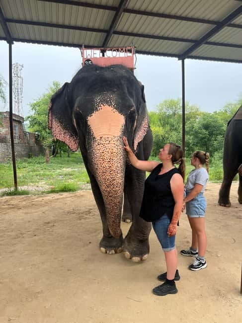 From Delhi: Taj Mahal Sunrise & Elephant Conservation by Car - Practical Tips for Your Tour