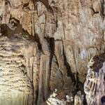 From Dong Hoi: Paradise and Phong Nha Caves Guided Tour - Practical Details and Tips