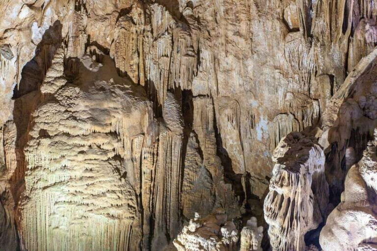 From Dong Hoi: Paradise and Phong Nha Caves Guided Tour - Practical Details and Tips