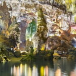 From Dong Hoi: Paradise Cave, Phong Nha Cave Tour, and Lunch - Why This Tour Offers Great Value