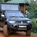 From Ella: Drop to Tangalle/Hiriketiya/Mirissa & Yala Safari - Who Will Love This Tour?