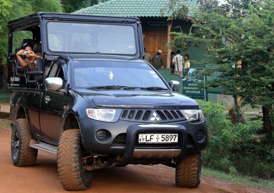 From Ella: Drop to Tangalle/Hiriketiya/Mirissa & Yala Safari - Who Will Love This Tour?