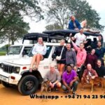 From Ella: Drop to Tangalle/Mirissa/Galle & Udawalawe Safari - Why This Tour Stands Out