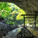 From Fukuoka: Miyazaki, Takachiho Gorge and Shrines Day tour - Final Thoughts: Is This Tour Worth It?