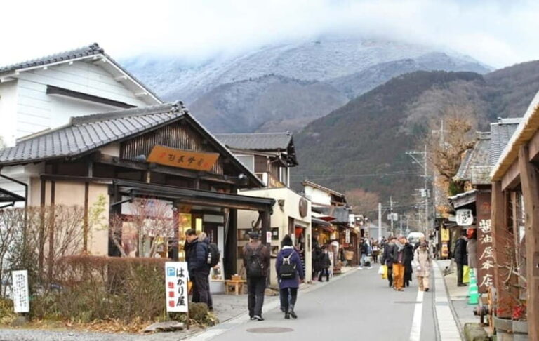 From Fukuoka: Yufuin, Hita, and Beppu Day Trip - Who Is This Tour Best For?