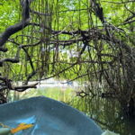 From Galle: Madu River Safari, Turtles & Galle Fort - Cinnamon Garden: Scented Delights