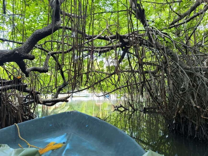 From Galle: Madu River Safari, Turtles & Galle Fort - Cinnamon Garden: Scented Delights