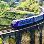 From Galle/Weligama/Mirissa: Day Trip to Experience Ella - What Travelers Say: Authentic Insights from Reviews