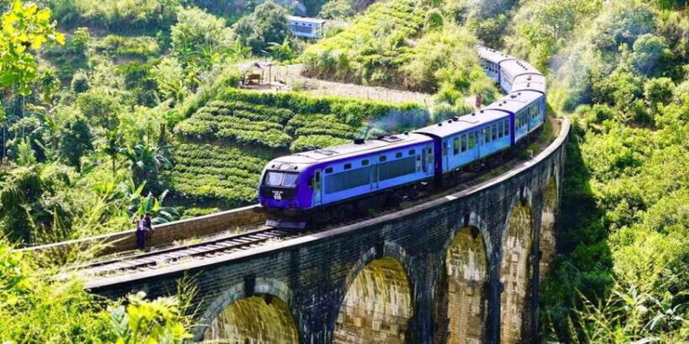 From Galle/Weligama/Mirissa: Day Trip to Experience Ella - What Travelers Say: Authentic Insights from Reviews