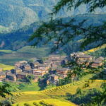 From Guilin: 1-Day Private Longji Rice Terraces Tour - Why This Tour Delivers Good Value