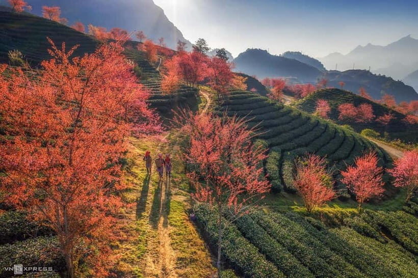 From Hanoi: 2-Day Luxury Sapa Trekking Tour with Homestay - Who Will Love This Tour?