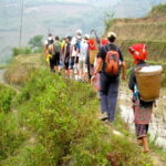 From Hanoi: 2-Day Sapa Tour Trekking & Homestay Experience - Transportation and Accommodation Details