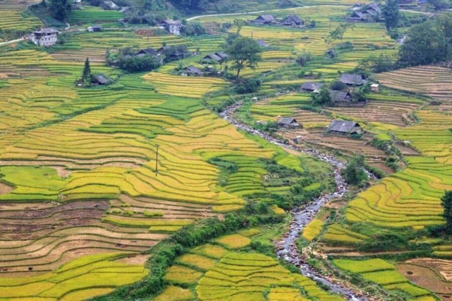 From Hanoi: 2-Days Sapa Trekking Tour Lao Chai and Cat Cat - What Sets This Tour Apart