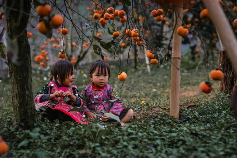 From Hanoi: 4-Day Moc Chau Tea Plantation and Waterfall Tour - The Sum Up