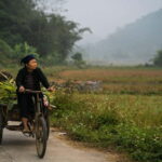 From Hanoi: 5-Day Ha Giang, Cao Bang, Ban Gioc Waterfall - Detailed Itinerary Breakdown