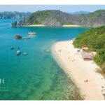 From Hanoi: Cat Ba Island 2-Day Tour with Trekking - Final thoughts