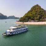 From Hanoi: Halong Bay Day Trip w/ Cave, Island & Kayak - Why This Tour Offers Great Value