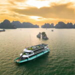 From Hanoi: Halong Wonder bay cruise 01-day - What’s Included & What You Should Budget For
