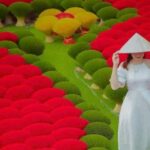 From Hanoi: Incense Village 1 Day Trip - Analyzing the Value: What’s Included & What’s Not