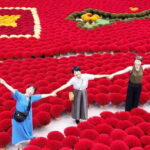 From Hanoi: Incense village & train street or Silk village - Final Thoughts