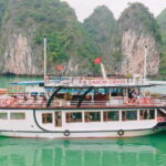 From Hanoi: Lan Ha Bay 1 Day with interesting activities - The Cruise: Comfort Meets Adventure