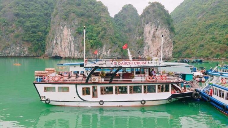 From Hanoi: Lan Ha Bay 1 Day with interesting activities - The Cruise: Comfort Meets Adventure