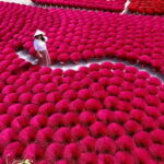 From Hanoi: Perfume Pagoda & Incense Village Photo Day Trip - Final Thoughts