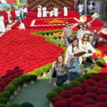 From Hanoi: Quang Phu Cau Incense Village Day Tour - The Journey Begins: From Hanoi to Quang Phu Cau and Duong Lam