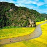 From Hanoi: Quang Phu Cau Incense Village & Ninh Binh Tour - What Makes This Tour Stand Out?