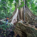 From HCM: Cat Tien Park Jungle Day Trip with Optional 2D1N - The Highlights of the Itinerary