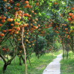 From Ho Chi Minh 10-Day Discover Mekong & Central by Train - Discovering Vietnam: A Practical Overview