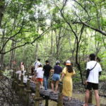 From Ho Chi Minh: Can Gio Monkey Island & Mangrove Tour - What the Tour Entails: A Step-by-Step Breakdown