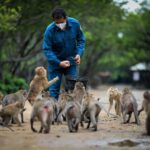 From Ho Chi Minh City: Can Gio Mangrove Guided Forest Tour - Practical Tips for Future Travelers