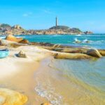 From Ho Chi Minh City: Relax In Mui Ne Beach In 1 Day - The Scenic Drive: Coastal Roads and Changing Landscapes