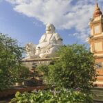 From Ho Chi Minh: Delta Full-Day Tour - Evaluating the Value