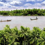 From Ho Chi Minh: My Tho Ben Tre Mekong with Lunch - An In-Depth Look at the Tour