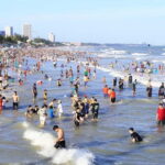 From Ho Chi Minh/ Phu My Port: Private Ho Chi Minh City Tour - Cost & Value Analysis