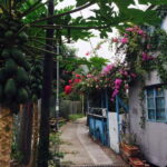 From Hong Kong: Lantau Island Private Car Tour w/ Cable Car - Exploring Tai O Fishing Village