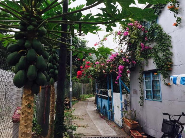 From Hong Kong: Lantau Island Private Car Tour w/ Cable Car - Exploring Tai O Fishing Village