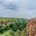 From Jaipur: Same Day Ranthambore excursion - Final Thoughts: Is This Tour for You?
